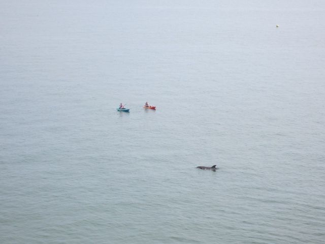 Arvonia view of canoeists on Cardigan Bay - holiday home to let with Harbour Homes